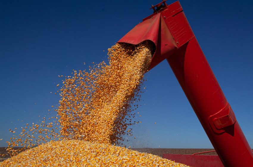  Com alta de insumos, safra de grãos será a mais cara da história