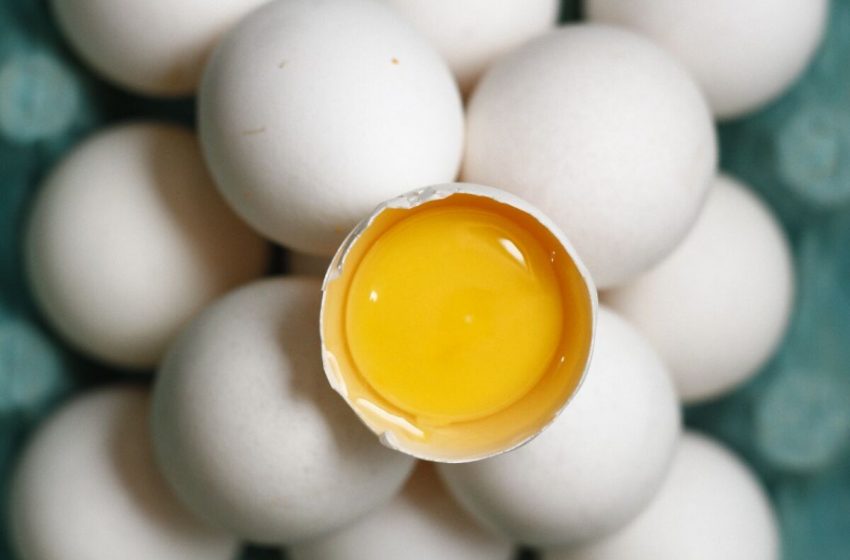  Brasileiro passa a consumir mais ovos e cai o consumo de carnes e peixes