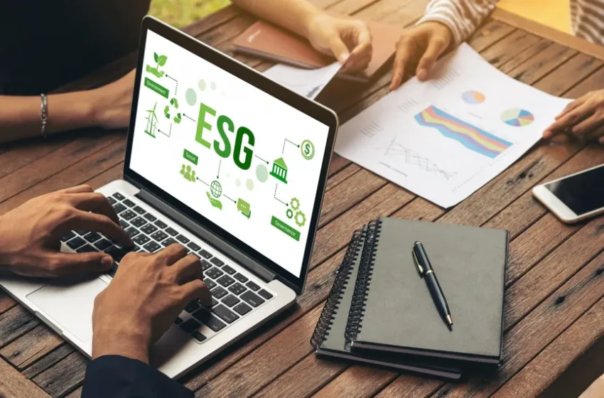  ESG precisa ser pauta definitiva nos conselhos executivos e de administração