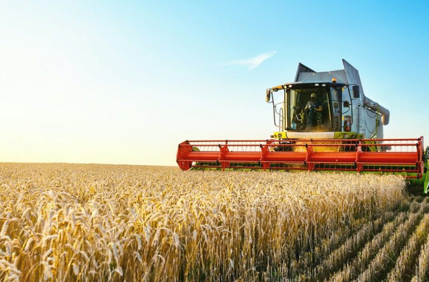 Área reservada à agropecuária no país cresceu 50% em 37 anos